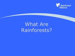 What Are
Rainforests?
 