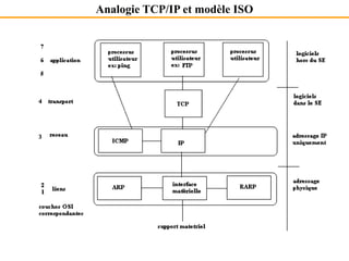 Analogie TCP/IP et modèle ISO
 