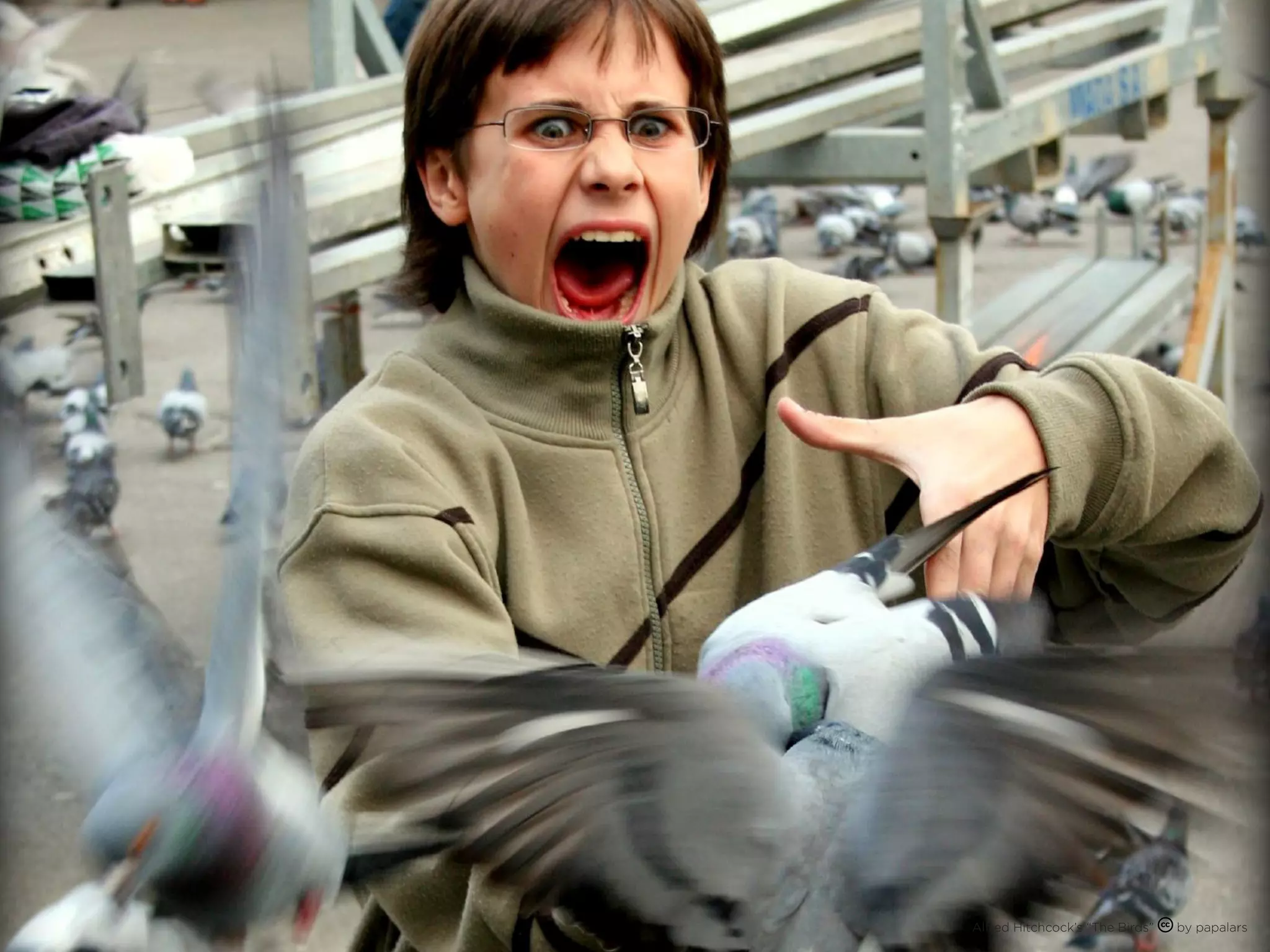 Alfred Hitchcock’s “The Birds”   by papalars
 