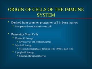 ORIGIN OF CELLS OF THE IMMUNE
SYSTEM
* Derived from common progenitor cell in bone marrow
* Pluripotent hematopoietic stem cell
* Progenitor Stem Cells
* Erythroid lineage
* Erythrocytes and Megakaryocytes
* Myeloid lineage
* Monocyte/macrophage, dendritic cells, PMN’s, mast cells
* Lymphoid lineage
* Small and large lymphocytes
 