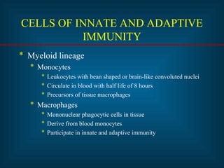 CELLS OF INNATE AND ADAPTIVE
IMMUNITY
* Myeloid lineage
* Monocytes
* Leukocytes with bean shaped or brain-like convoluted nuclei
* Circulate in blood with half life of 8 hours
* Precursors of tissue macrophages
* Macrophages
* Mononuclear phagocytic cells in tissue
* Derive from blood monocytes
* Participate in innate and adaptive immunity
 