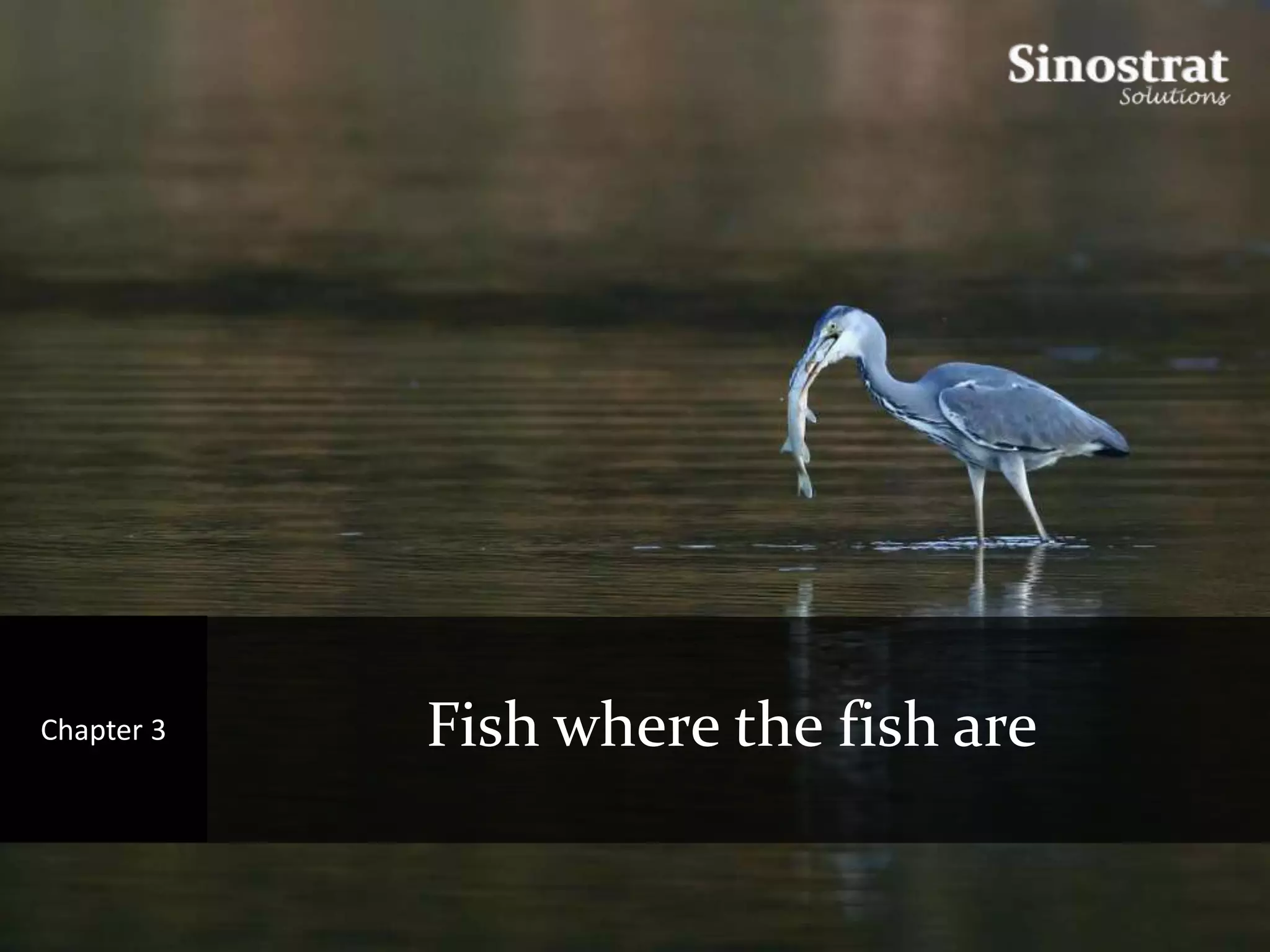 Chapter 3   Fish where the fish are
 