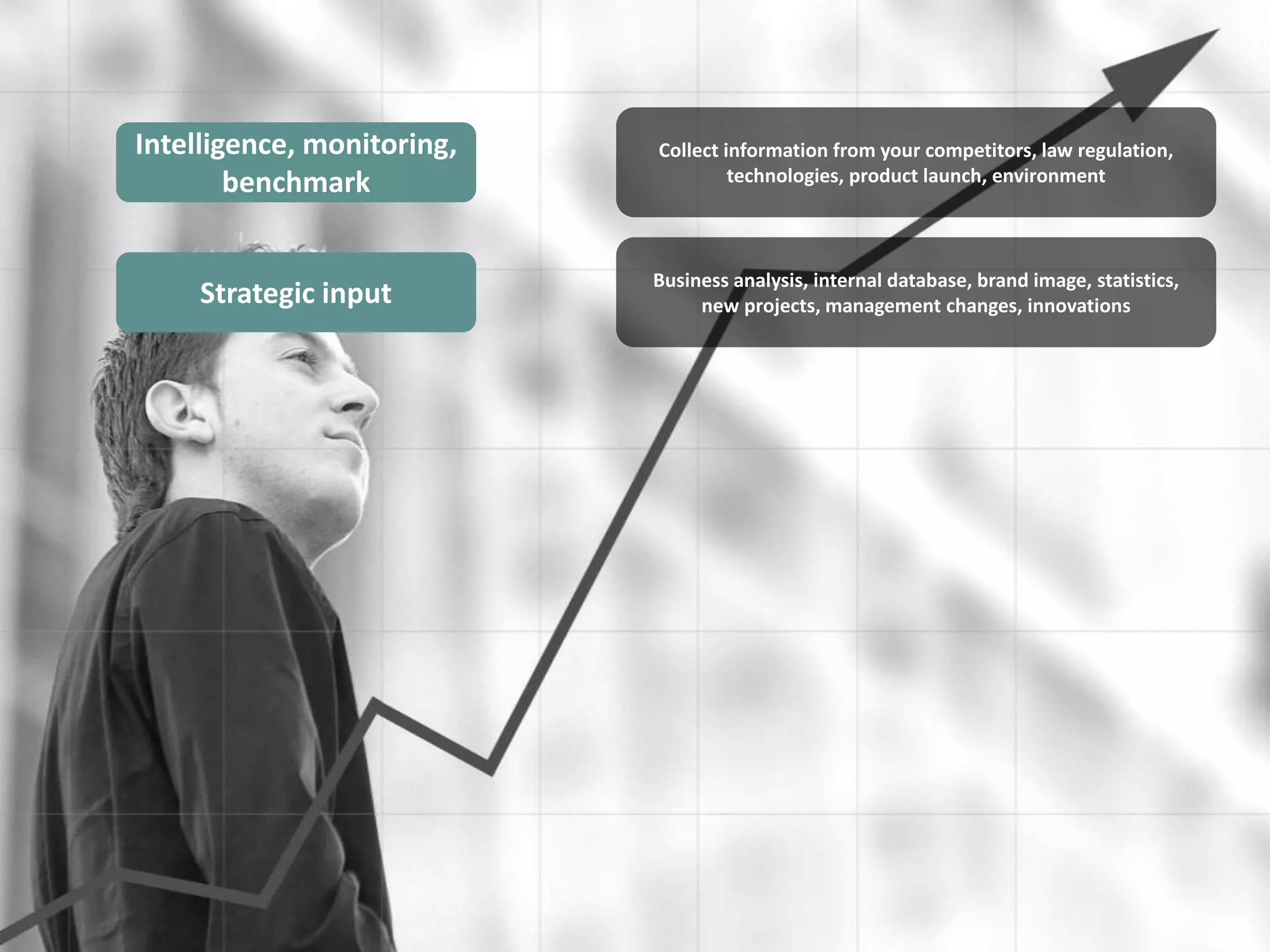 Intelligence, monitoring,   Collect information from your competitors, law regulation,
        benchmark                    technologies, product launch, environment



                            Business analysis, internal database, brand image, statistics,
     Strategic input             new projects, management changes, innovations
 