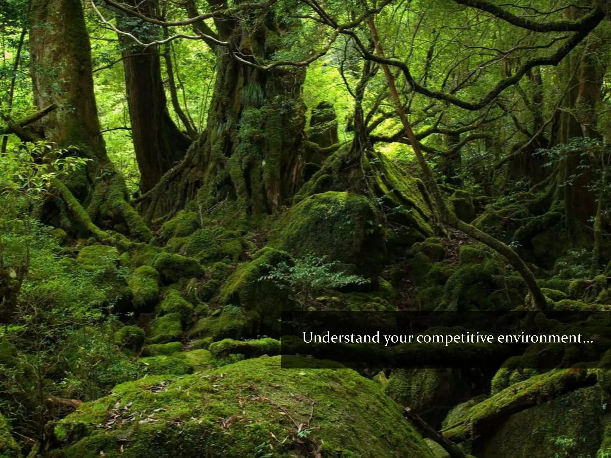 Understand your competitive environment…
 