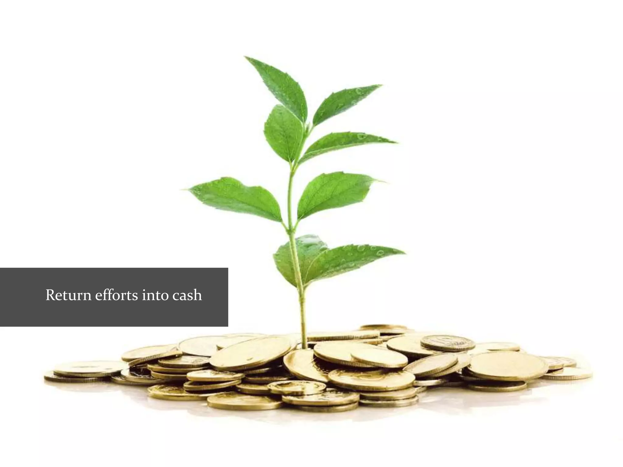 Return efforts into cash
 
