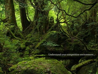 Understand your competitive environment…
 