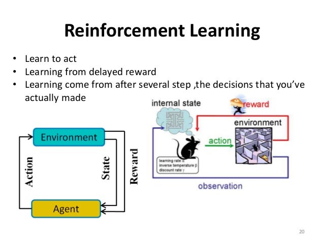 zoomer kitty liverpool