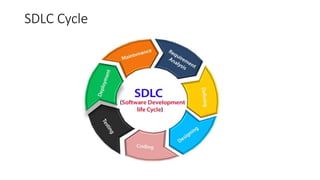 SDLC Cycle
 