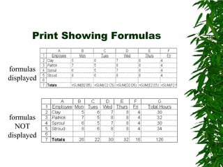 Print Showing Formulasformulas displayedformulas NOT displayed