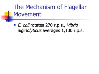 The Mechanism of Flagellar Movement E. coli  rotates 270 r.p.s.,  Vibrio alginolyticus  averages 1,100 r.p.s. 