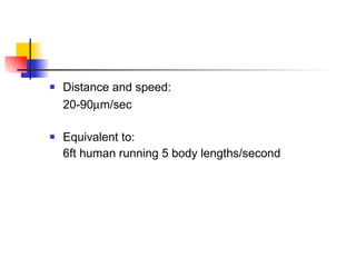 Distance and speed: 20-90  m/sec Equivalent to: 6ft human running 5 body lengths/second 