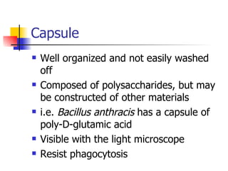 Capsule Well organized and not easily washed off Composed of polysaccharides, but may be constructed of other materials i.e.  Bacillus anthracis  has a capsule of poly-D-glutamic acid Visible with the light microscope Resist phagocytosis 