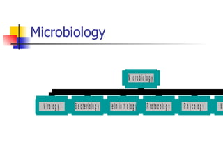 Microbiology 