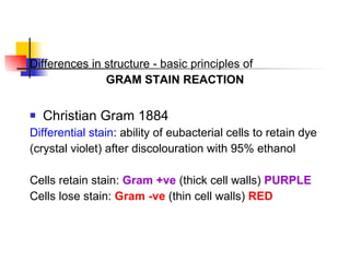 Differences in structure - basic principles of  GRAM STAIN REACTION Christian Gram 1884 Differential stain : ability of eubacterial cells to retain dye (crystal violet) after discolouration with 95% ethanol Cells retain stain:  Gram +ve  (thick cell walls)  PURPLE Cells lose stain:  Gram -ve  (thin cell walls)  RED 