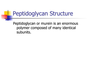 Peptidoglycan Structure Peptidoglycan or murein is an enormous polymer composed of many identical subunits. 