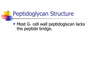 Peptidoglycan Structure Most G- cell wall peptidoglycan lacks the peptide bridge. 