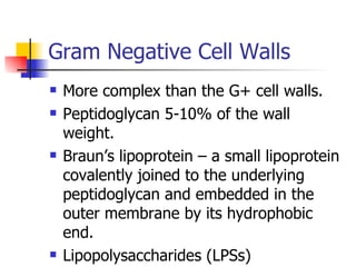 Gram Negative Cell Walls More complex than the G+ cell walls. Peptidoglycan 5-10% of the wall weight. Braun’s lipoprotein – a small lipoprotein covalently joined to the underlying peptidoglycan and embedded in the outer membrane by its hydrophobic end. Lipopolysaccharides (LPSs) 
