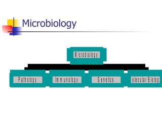 Microbiology 