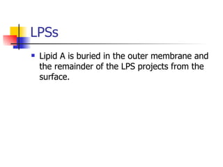 LPSs Lipid A is buried in the outer membrane and the remainder of the LPS projects from the surface. 