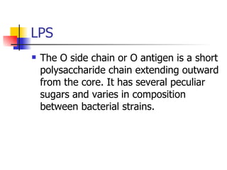 LPS The O side chain or O antigen is a short polysaccharide chain extending outward from the core. It has several peculiar sugars and varies in composition between bacterial strains.  