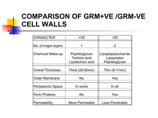 COMPARISON OF GRM+VE /GRM-VE CELL WALLS 