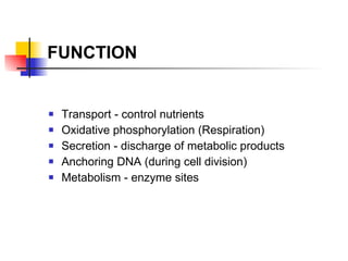 FUNCTION Transport - control nutrients Oxidative phosphorylation (Respiration) Secretion - discharge of metabolic products Anchoring DNA (during cell division) Metabolism - enzyme sites 