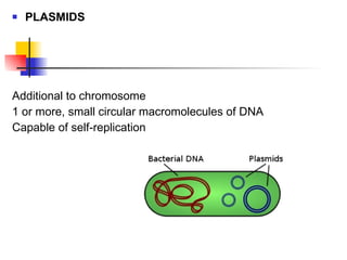 PLASMIDS Additional to chromosome 1 or more, small circular macromolecules of DNA Capable of self-replication 