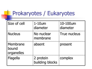 Prokaryotes / Eukaryotes Size of cell 1-10 u m diameter 10-100 u m diameter Nucleus No nuclear membrane True nucleus Membrane bound organelles absent present Flagella 2 protein building blocks complex 