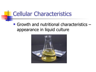 Cellular Characteristics Growth and nutritional characteristics – appearance in liquid culture 