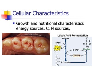 Cellular Characteristics Growth and nutritional characteristics energy sources, C, N sources,  