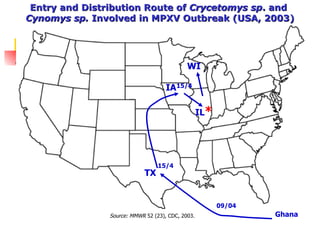 Ghana TX WI IL * IA 15/4 09/04 Entry and Distribution Route of  Crycetomys sp . and  Cynomys sp.  Involved in MPXV Outbreak (USA, 2003) Source: MMWR  52 (23), CDC, 2003. 15/4 