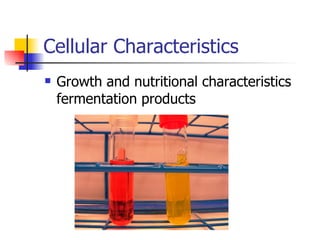 Cellular Characteristics Growth and nutritional characteristics fermentation products 