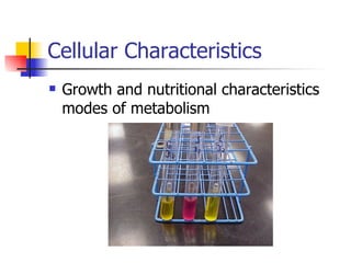 Cellular Characteristics Growth and nutritional characteristics modes of metabolism 