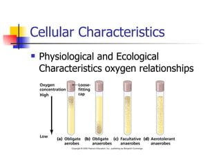 Cellular Characteristics Physiological and Ecological Characteristics oxygen relationships 