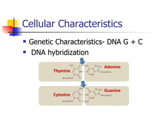 Cellular Characteristics Genetic Characteristics- DNA G + C DNA hybridization 