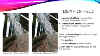Aperture, Shutter Speed and Depth of Field | PPTX