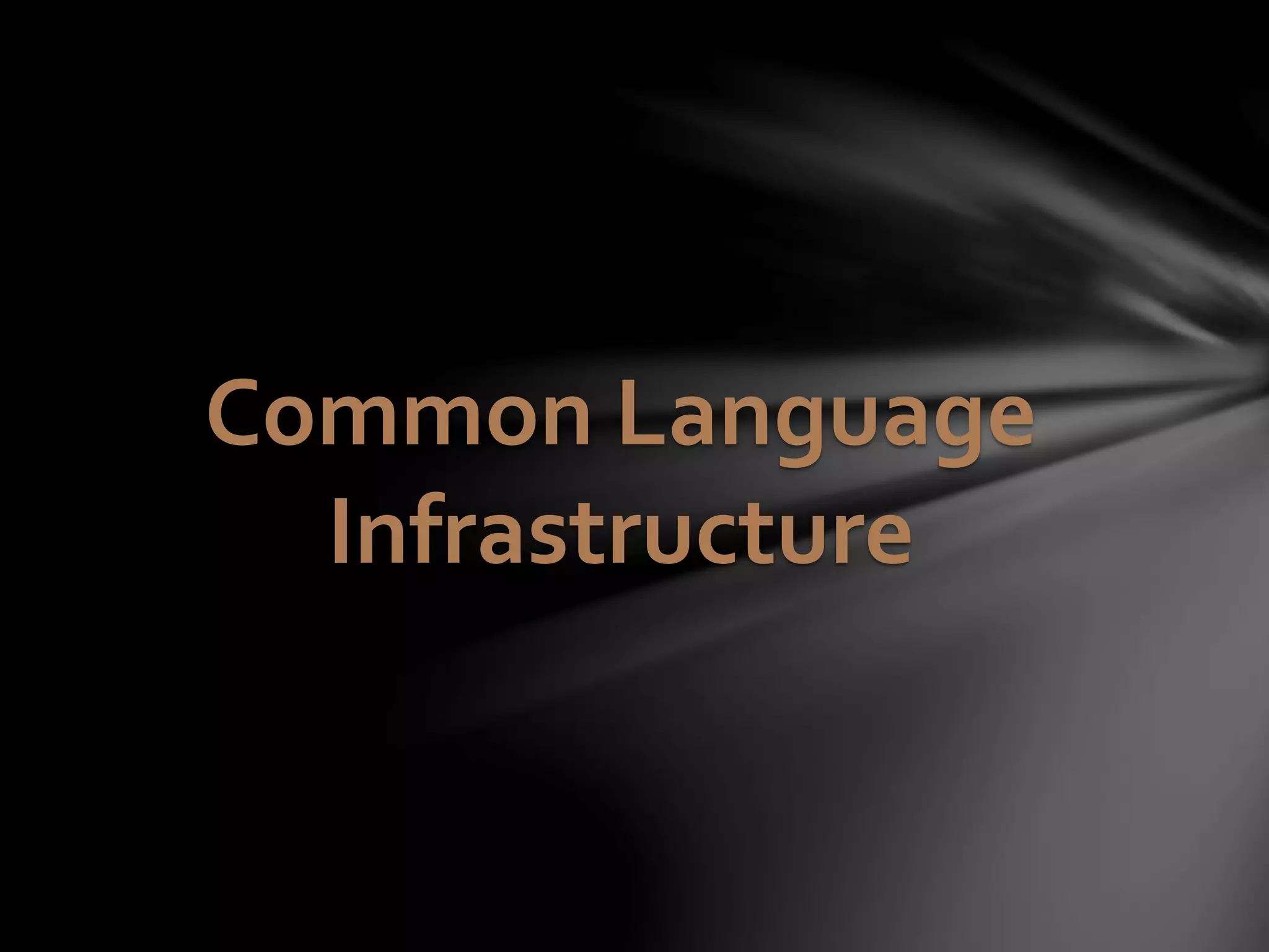 Common Language 
Infrastructure 
 