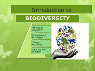What is bio-
diversity?
Importance of
bio-diversity.
Threats to
biodiversity
Save the bio-
diversity.
Introduction to
BIODIVERSITY
 