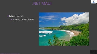  Maui Island
 Hawaii, United States
.NET MAUI
Code.Digest | .NET MAUI 2022 | Introduction to .NET MAUI
 