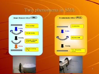 Introductionto Fsma | PPT