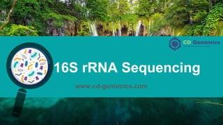 16S rRNA Sequencing
www.cd-genomics.com
 
