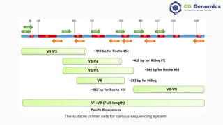 Introduction to 16s r rna sequencing cd genomics | PPT