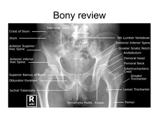 Bony review
 