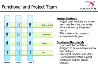 Functional and Project Team

                                             Project Verticals
                                             • Project team verticals are where
                            System Analyst     team members live day to day
                                             • Work is driven by the project
                                               teams
                            Developers
                                             • This is where the company
                                               accomplishes its goals

                            Testers          Functional Horizontals
                                             • Functional horizontals are
                                               designed to help employees grow
                                               their skillsets
                            PMO
                                             • Share best practices and ideas
                                             • Functional horizontals support
                                               employees and the project
 Team 1   Team 2   Team 3                      verticals
 