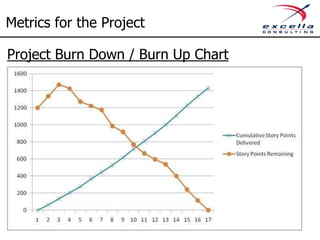 Metrics for the Project

Project Burn Down / Burn Up Chart
 