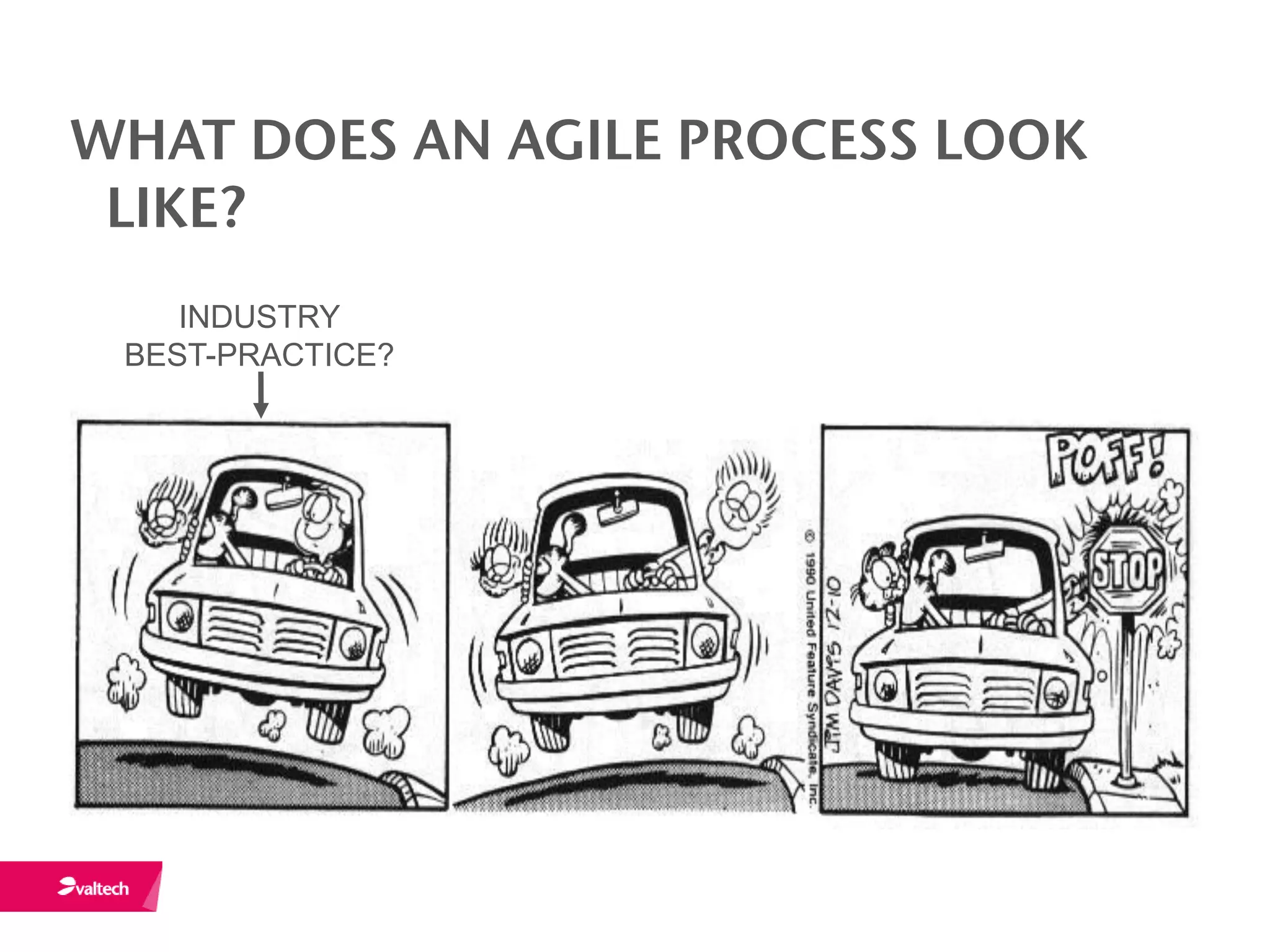 WHAT DOES AN AGILE PROCESS LOOK
 LIKE?
    INDUSTRY
 BEST-PRACTICE?
 
