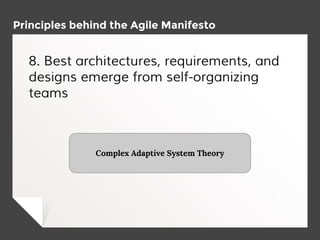 Principles behind the Agile Manifesto
8. Best architectures, requirements, and
designs emerge from self-organizing
teams
Complex Adaptive System Theory
 