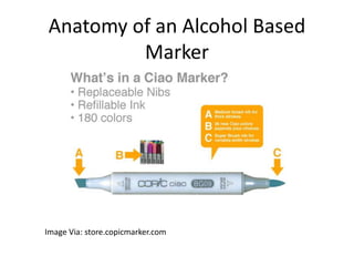 Anatomy of an Alcohol Based 
Marker 
Image Via: store.copicmarker.com 
 