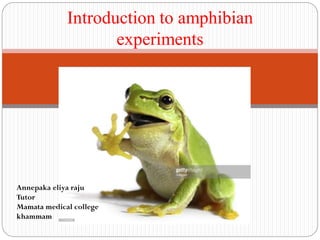 Introduction to amphibian
experiments
Annepaka eliya raju
Tutor
Mamata medical college
khammam
 