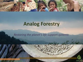 Analog Forestry
Restoring the planet’s life support systems

Restoring the planet’s life-support systems.

 